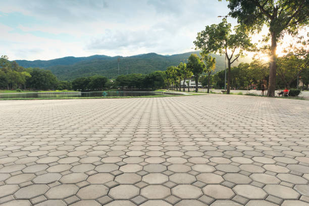 Residential Paver Driveway in Lake Sarasota, FL