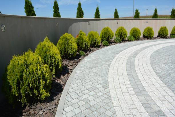 Best Local Driveway Pavers  in Lake Sarasota, FL