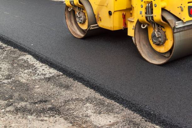 Best Professional Driveway Pavers  in Lake Sarasota, FL